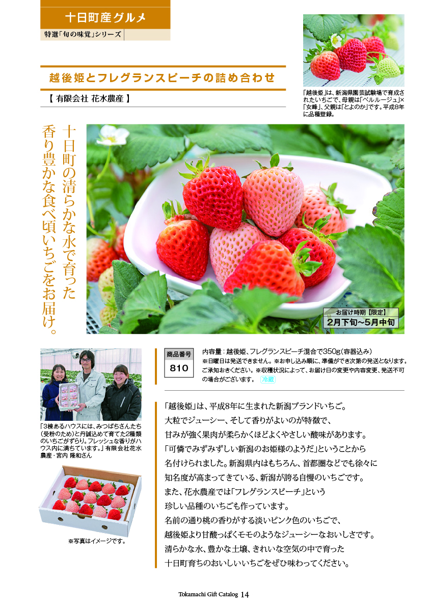 十日町市カタログギフト